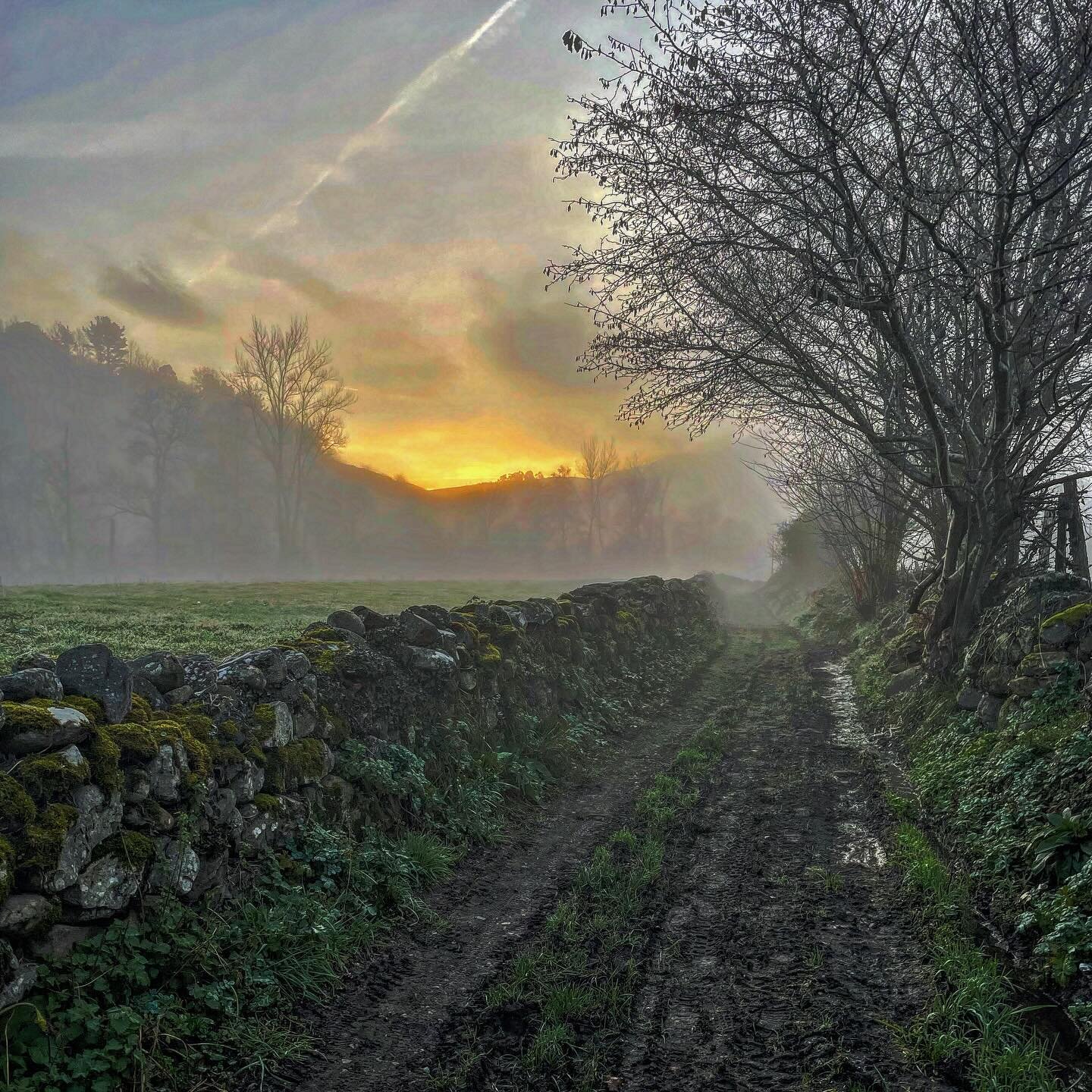 Morning Walk.  Sunrise walks are probably my favorite, everything waking (on lucky days I might catch some going to bed). Love walking out our front door for this. #NorthernSpain #hiking #walkingtour #Rural #rurallife #countryside #landscape #landsca