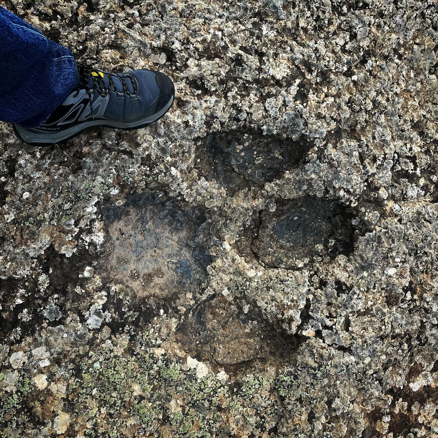 Big Foot.  120 million years ago a dinosaur that walked on two legs left its footprints in the mud at an ancient seashore.  #dinosaur #dinosaurfootprints #paleontology #geology #nature #naturephotography #Spain