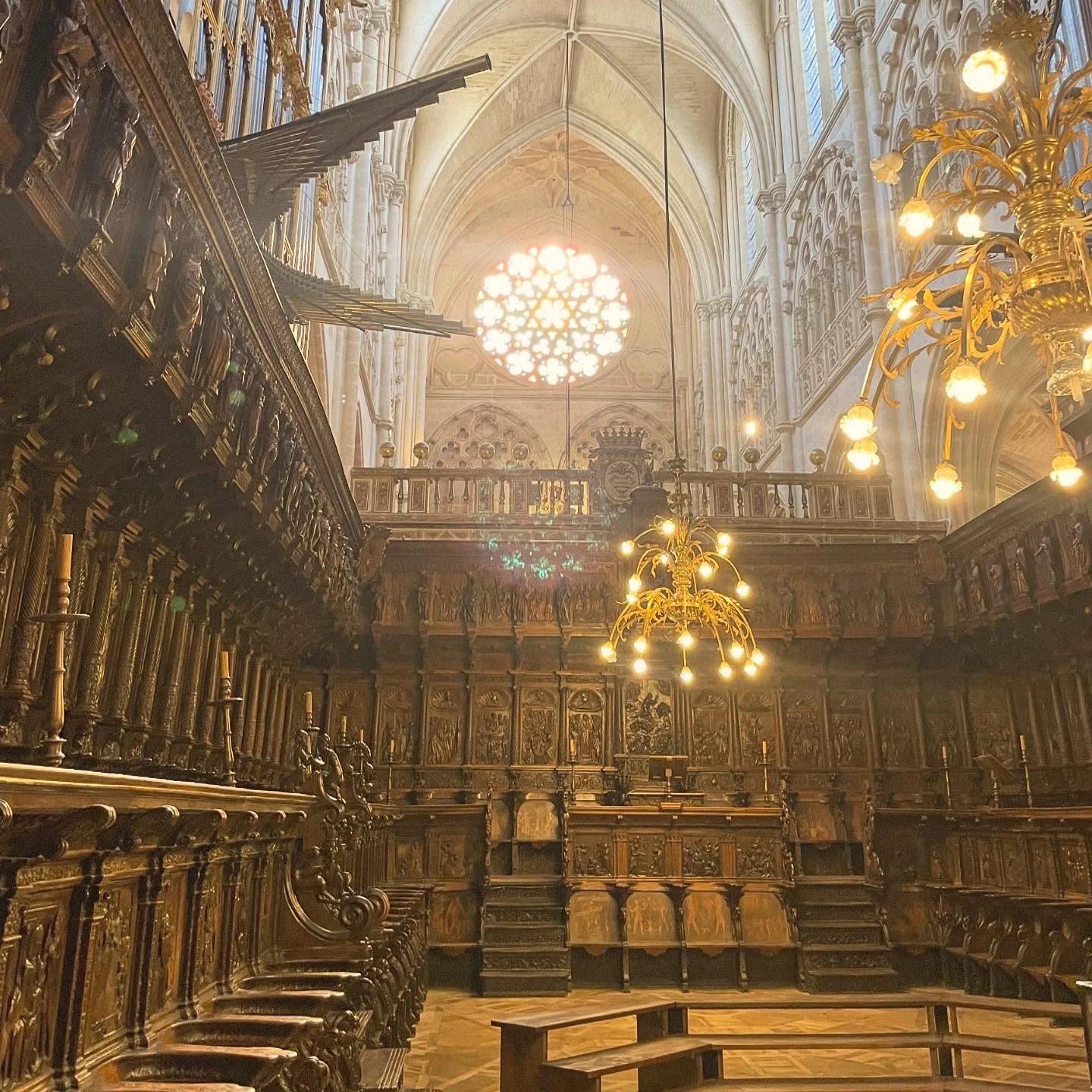 Golden Gothic. Afternoon western sun gives this 13th c. cathedral an ancient feeling light,  with the warmth of the 16th c. walnut wood choir collaborating in creating a golden air. #gothicarchitecture #architecture #history #UNESCOworldheritage #Nor