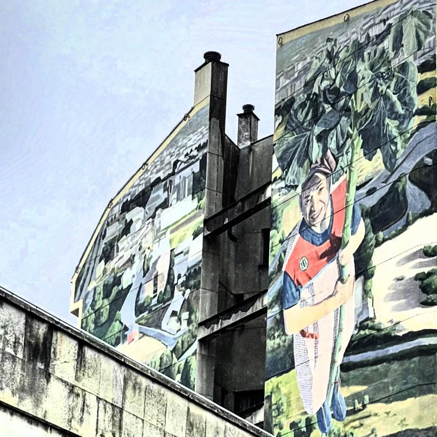 Granny and the Kale Stalk. Tribute to hard working rural grandmothers, pillars of power. #streetart #muralart #mural #beautification #art #grandmothers #NorthernSpain #privatetour #customtours