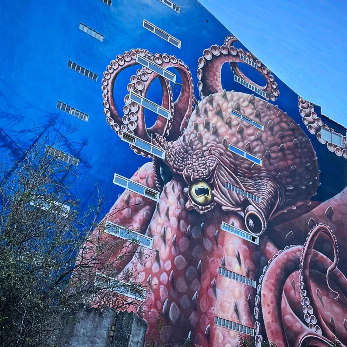 Octopus Wall. #streetart #streetmural #muralart #mural #octopuspainting #NorthernSpain #customtours #privatetour