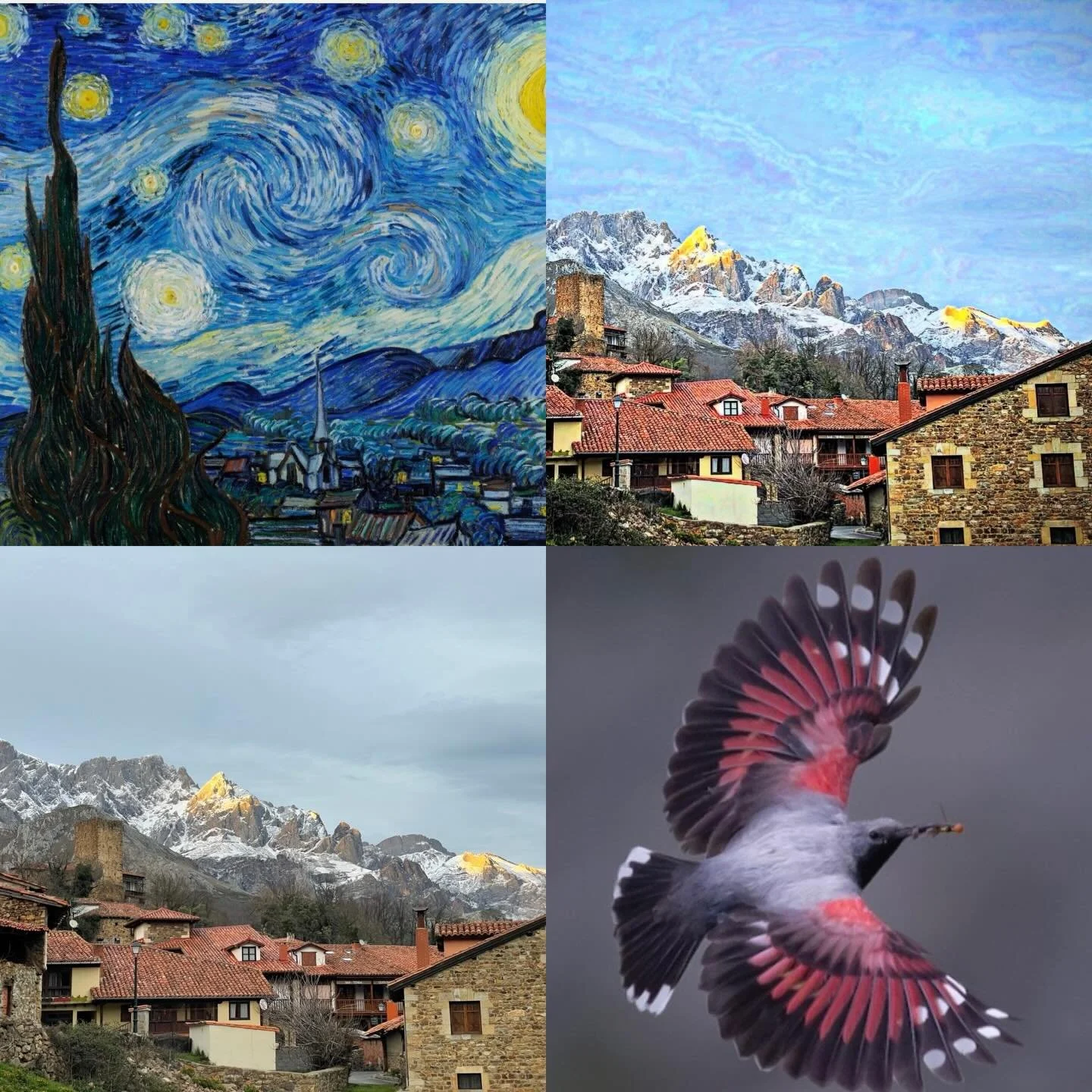 The Why of my last filtered post&hellip; Van Gogh&rsquo;s Starry Night, my filtered post pic, the raw photo and a wallcreeper. I had to put in a 4th pic to make this work, and this little grey alpine bird is pretty hard to spot until it flares its wi