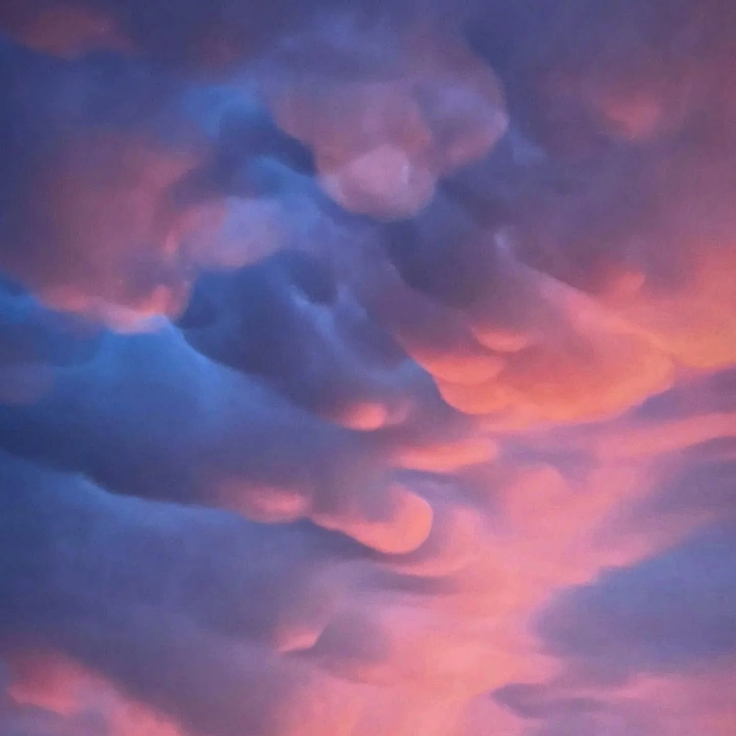 Cloud Faries.  Beautiful sunrise with the strong wind&rsquo;s whipping the clouds into all kinds of creatures.  Who do you see? #clouds #cloudlovers #pareidolia #NorthernSpain