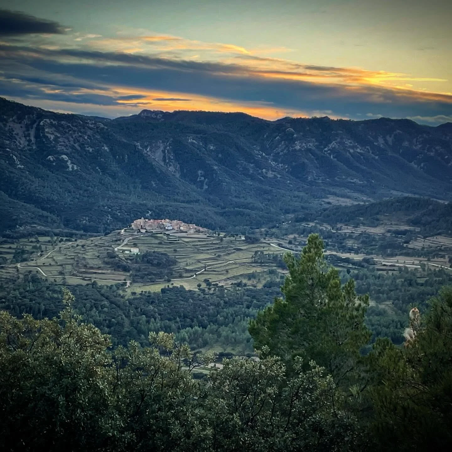 Out There. Just us, not another car, the roe deer, hairpins, drop offs and mesmerizing views.  Somewhere between what I know and new discoveries. #customtours #privatetour #roadlesstraveled #Spaintour #Spaintravel