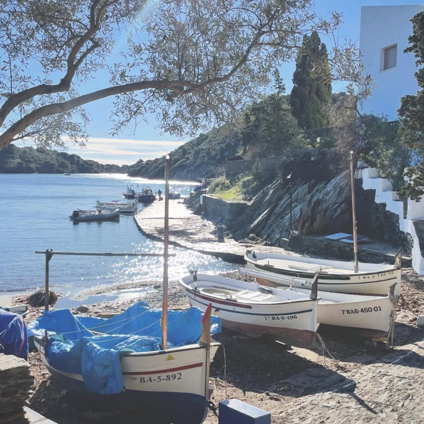 Mediterranean Light.  Tiny cove port with traditional fishing boats. Brought back great memories of my time in the Balearics.  The light and place were special.  #mediterranean #cove #fishingboats