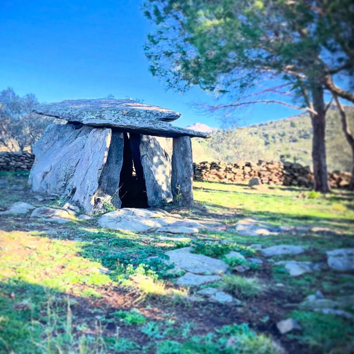 Doorway to the Afterlife.  Passage tombs were used by Neolithic farming groups to deposit their dead with useful items for the their journey on (food, drinks, weapons, tools etc.). They may have been territorial markers also. Most face to the rising 