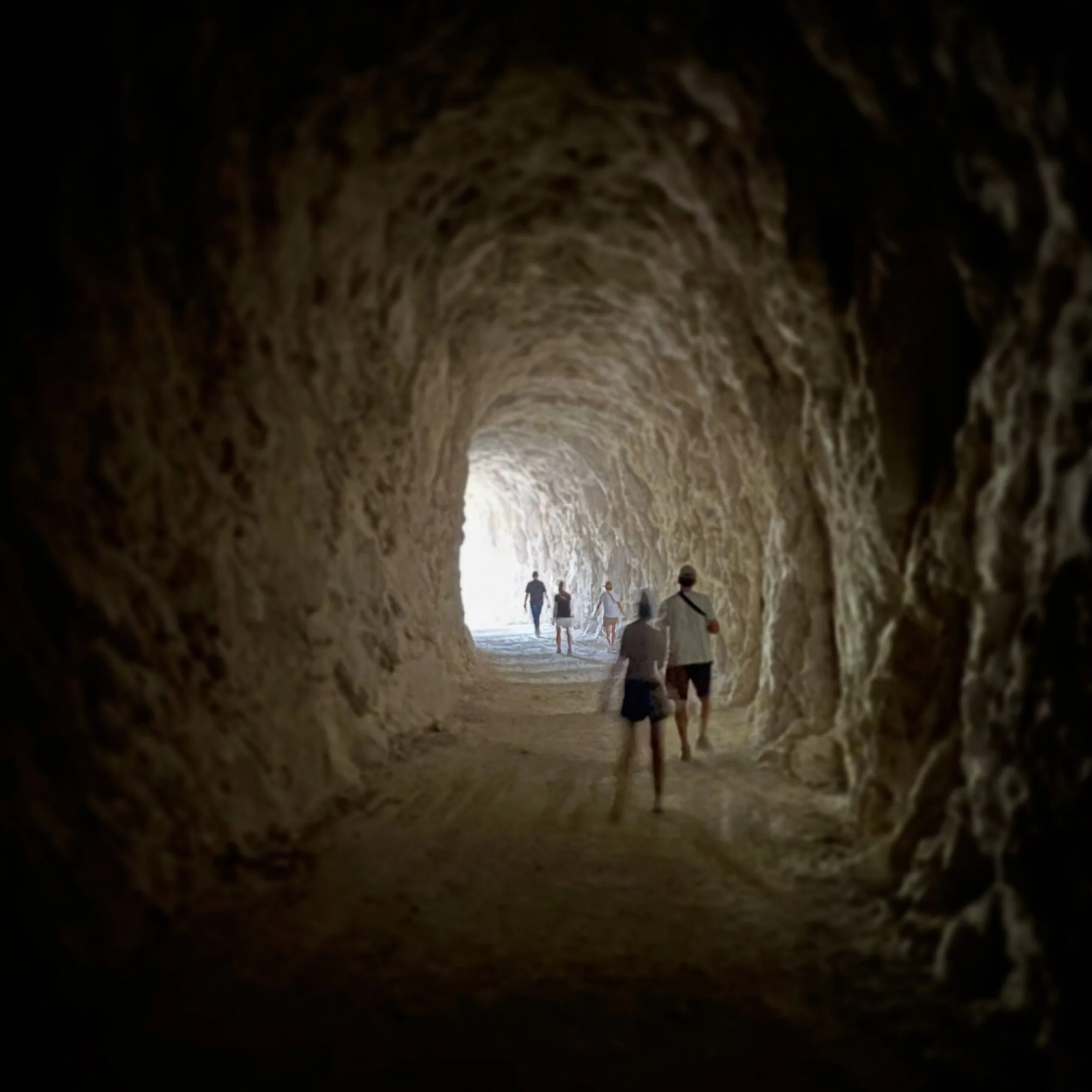 Light Walking.  Old railway tunnel to reach river canyon otherwise only accesible for the birds. #NorthernSpain #hikingtour #naturetour #privatetour #customtours