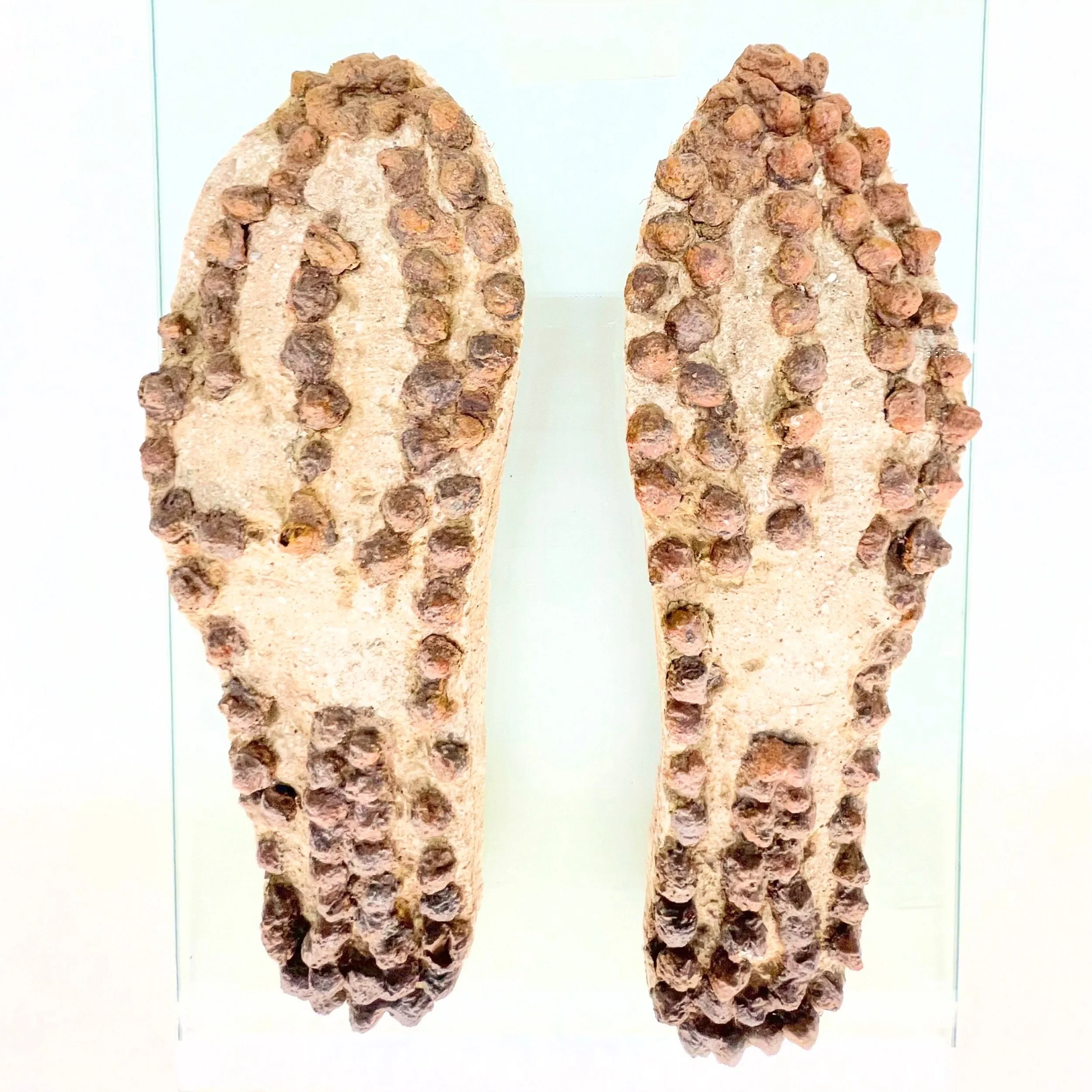 Roman Grip.  One of the most common artifacts found at Roman military archaeological sites are &ldquo;clavi caligari&rdquo;, cleats of the Roman soldiers sandals.  The Vibram of the times. #NorthernSpain #romanarchaeology #romanhistory #customtours #