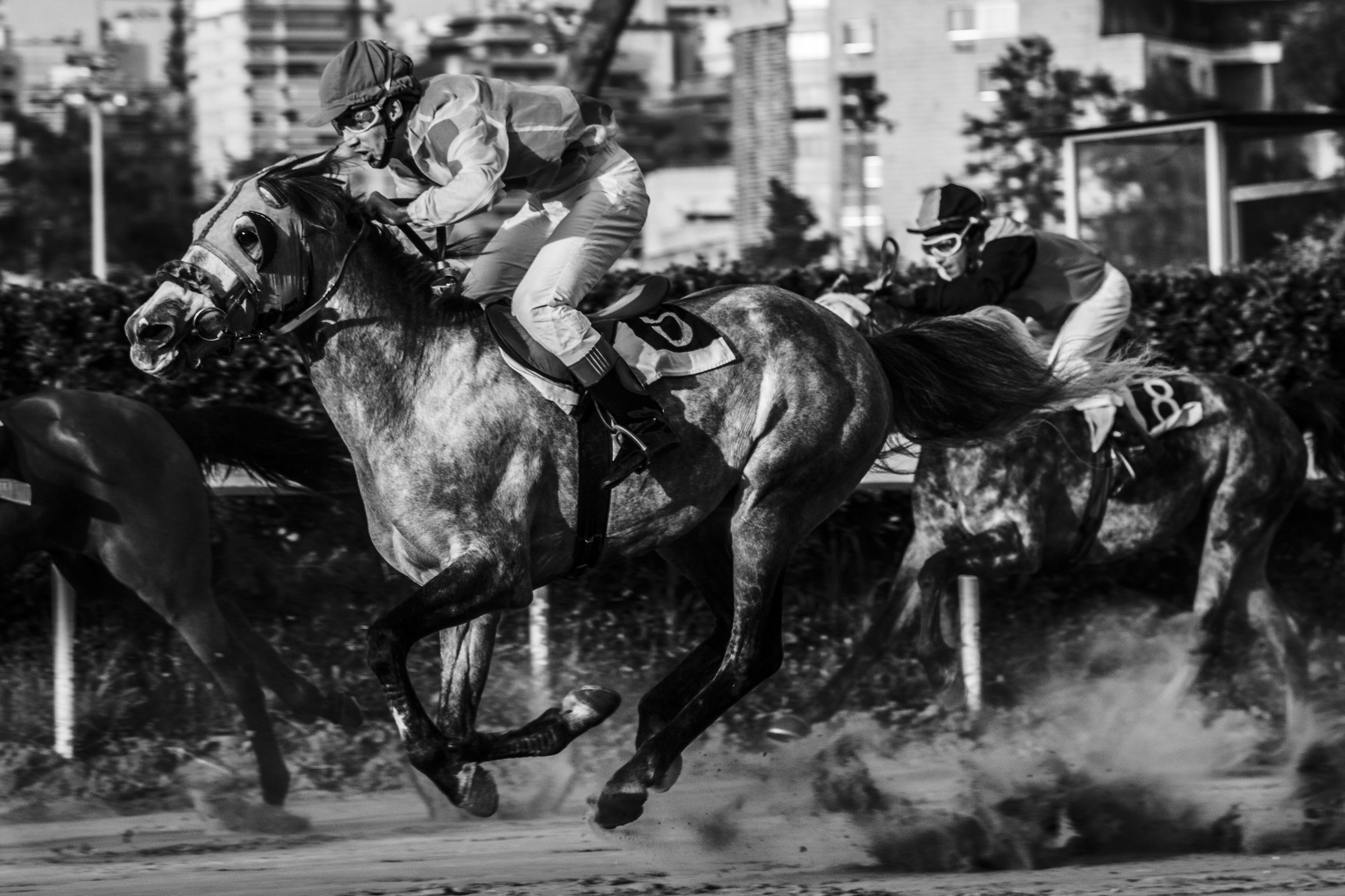 #9 In a split second.JPG