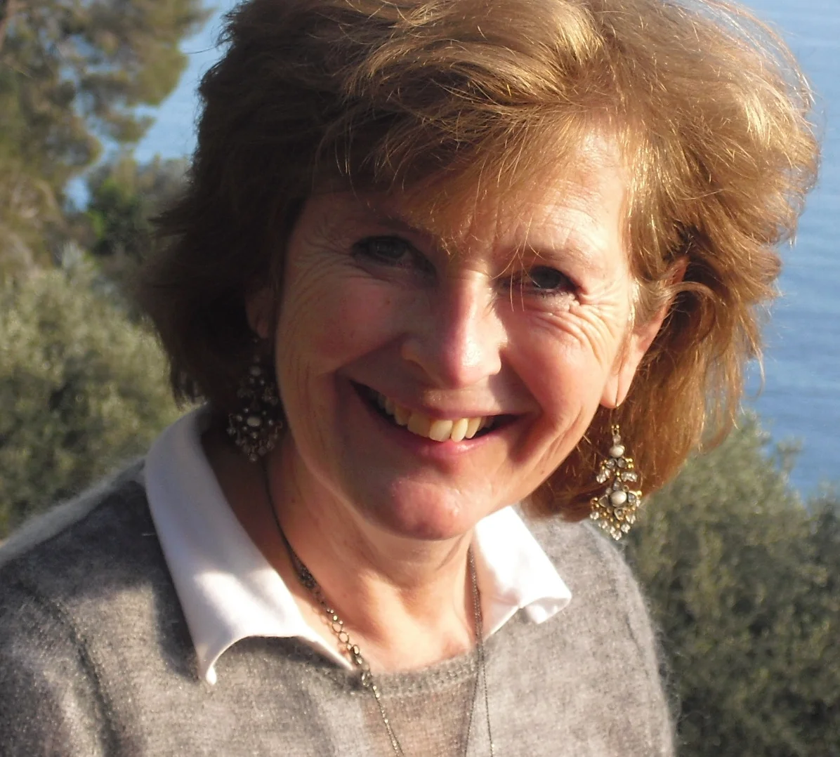 Annemieke Luijckx, Taaltrainer