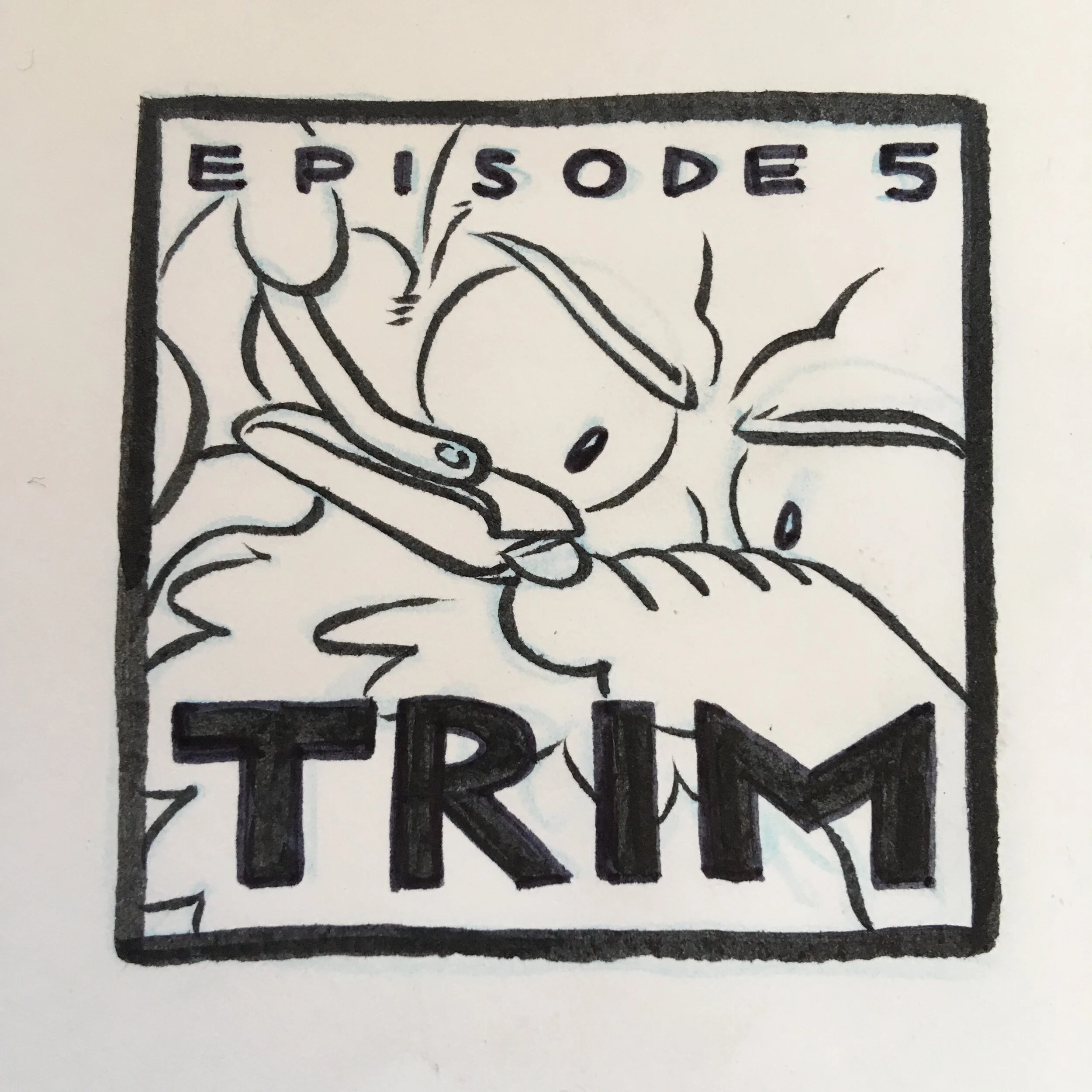 5: Trim