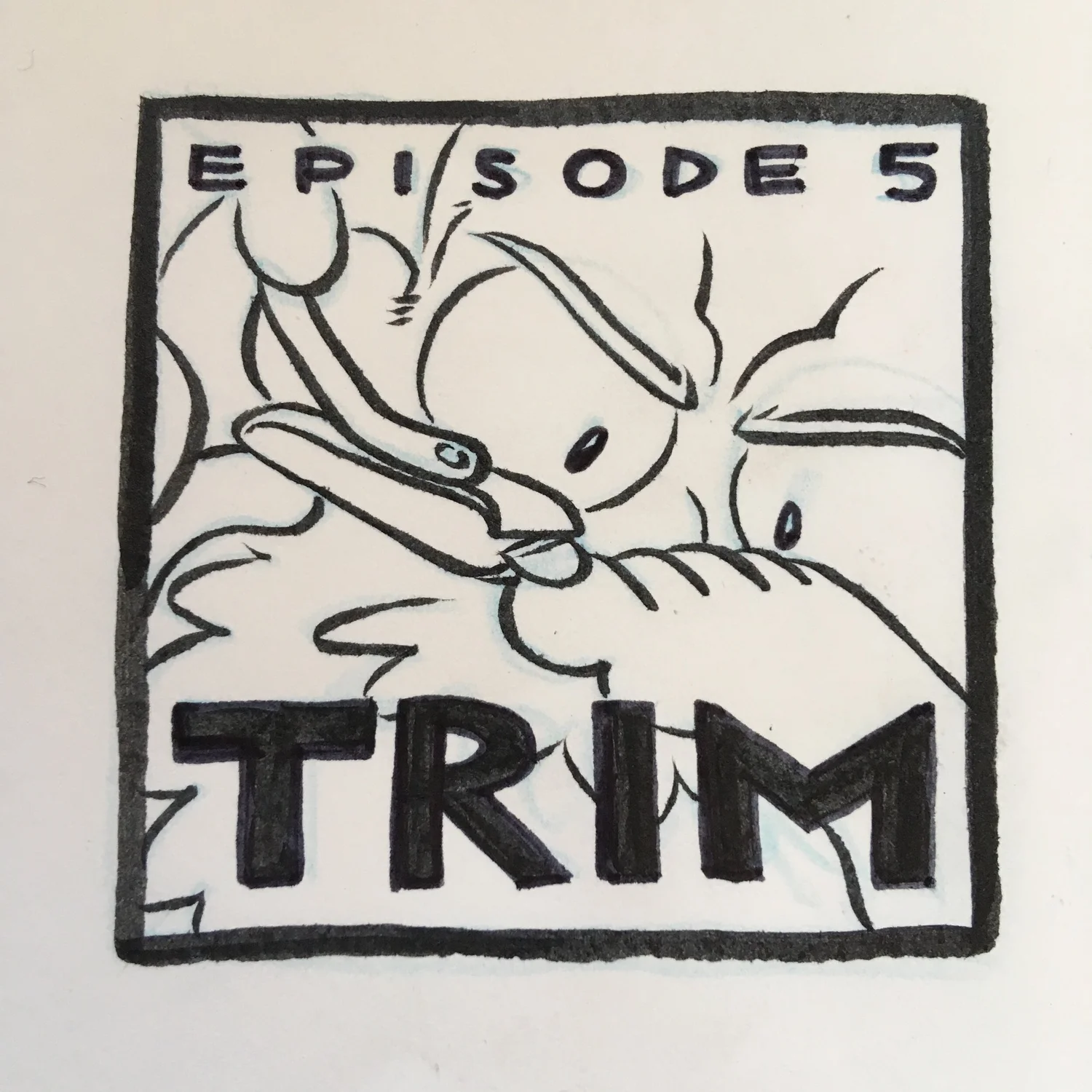 5: Trim episode artwork
