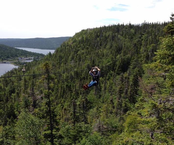 Ziplining, cropped2.jpeg