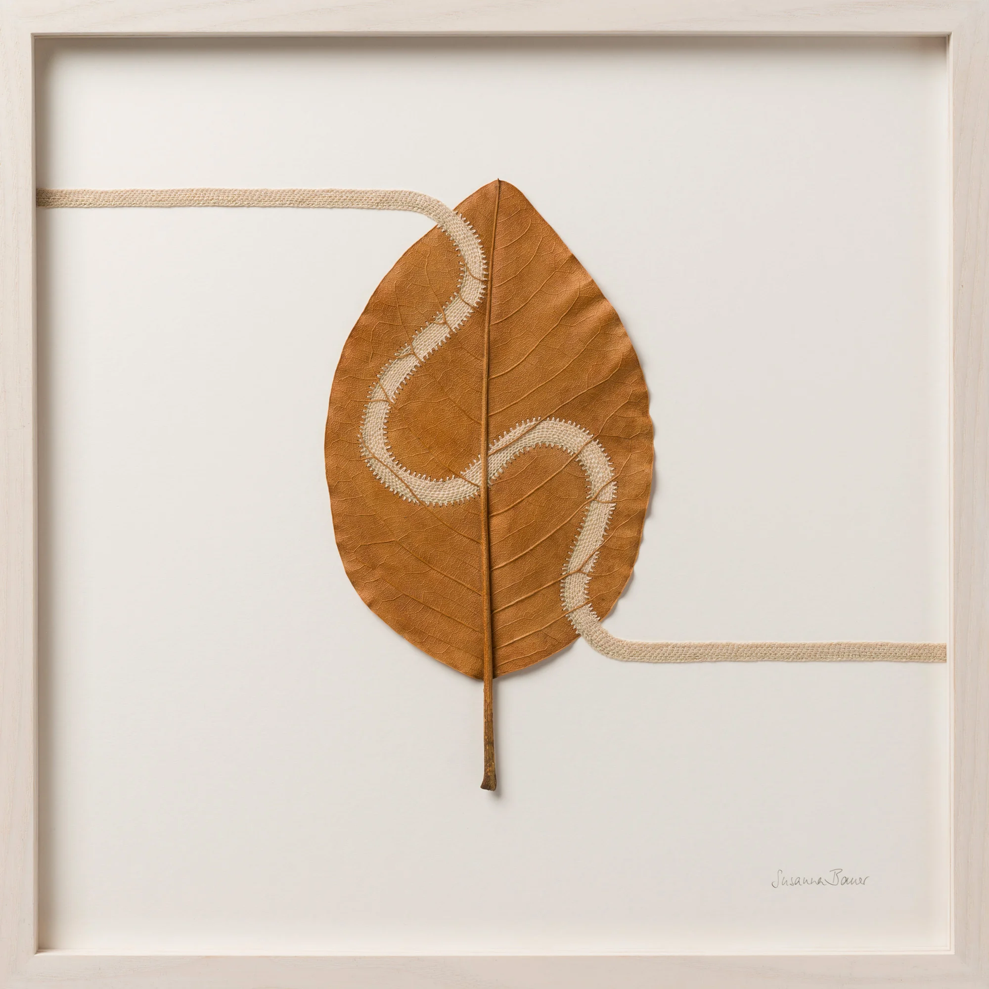 susanna-bauer-10.jpg