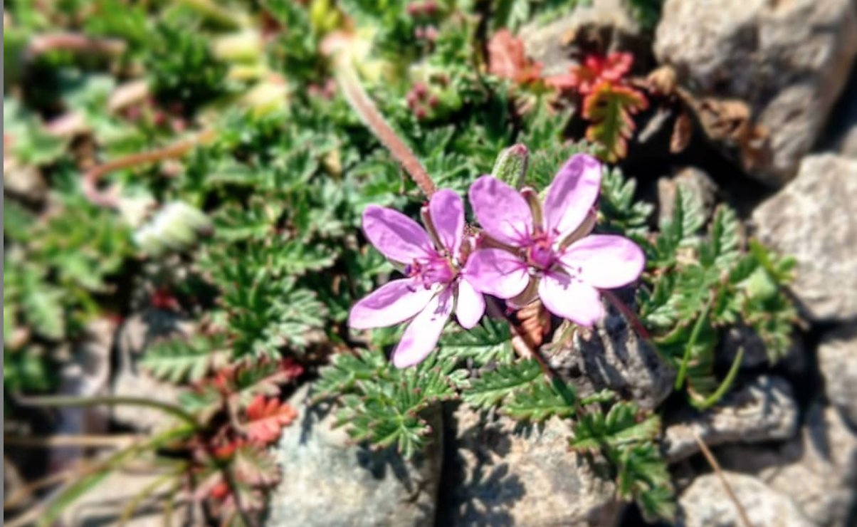 Spring Equinox: Embrace the Change