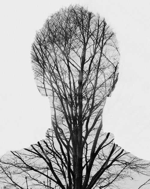 Growing Pains