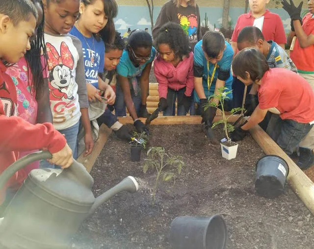 How to build a school garden.