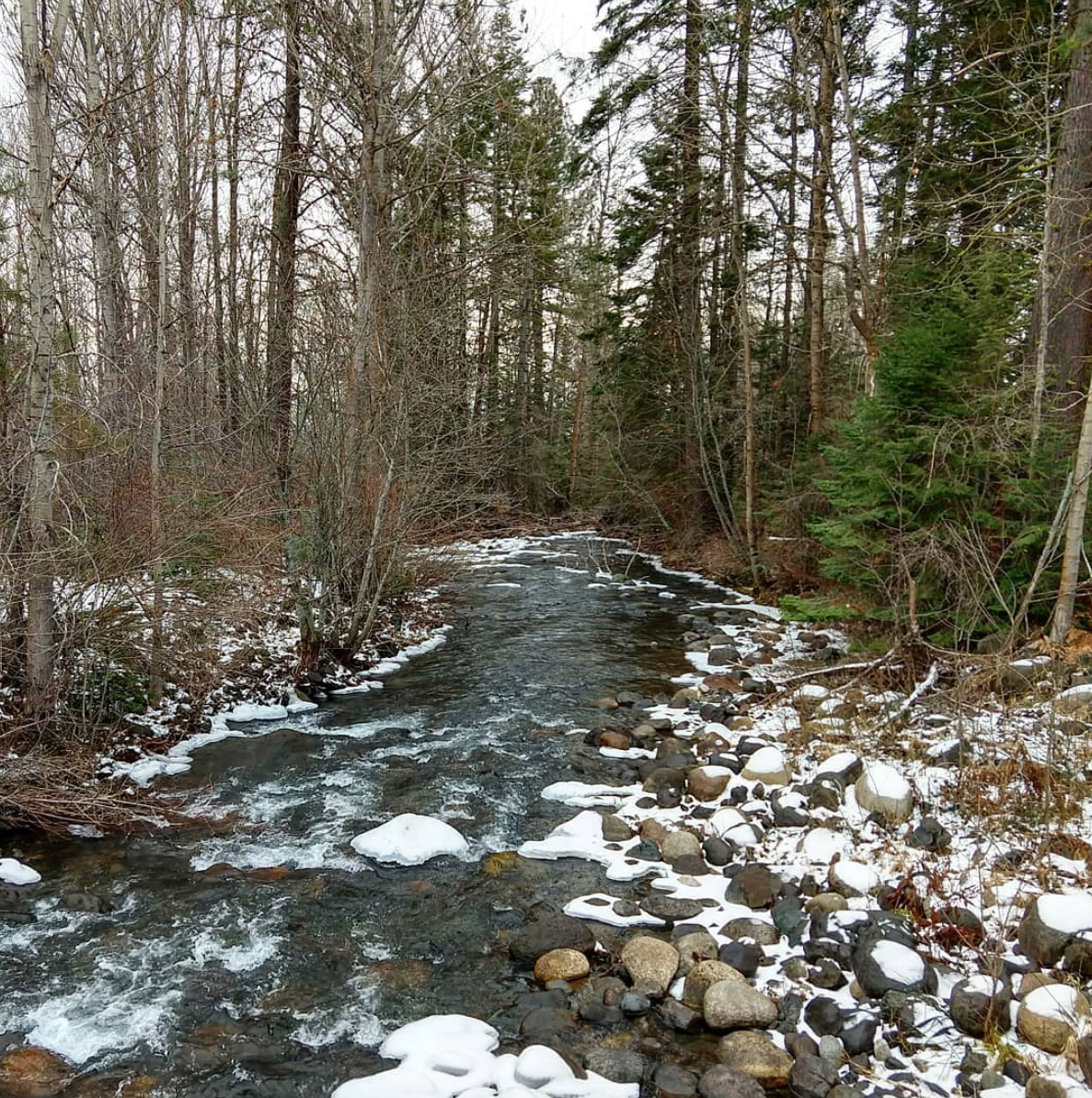 Winter Solstice | Return of the Light