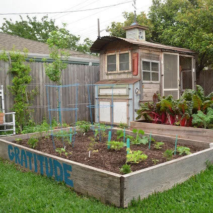 May Garden Report