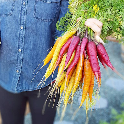 My Favorite Backyard Farm on Instagram