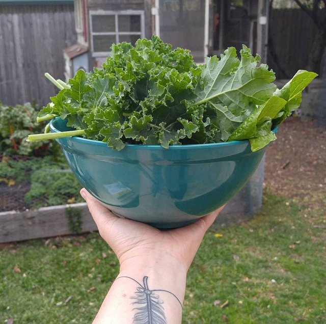 April Garden Report
