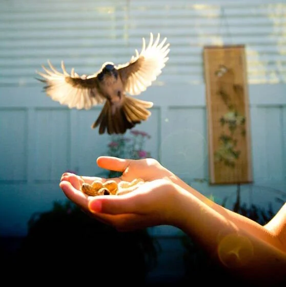 Disciplined Hope