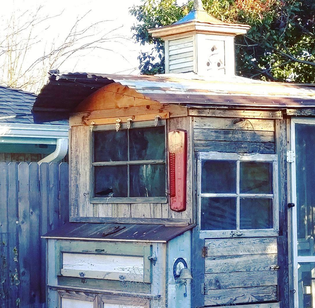 February Chicken Report