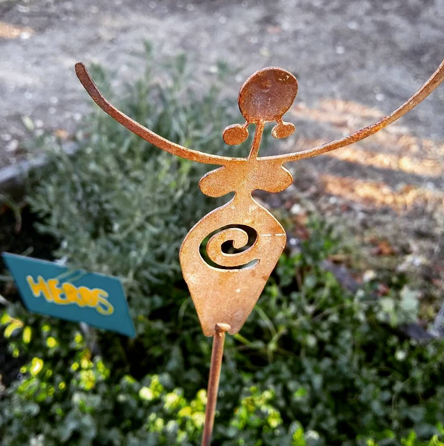 A Walk Through My Winter Garden