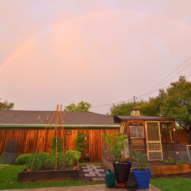 Radical Homemaking  |  Rain Rain Rain 