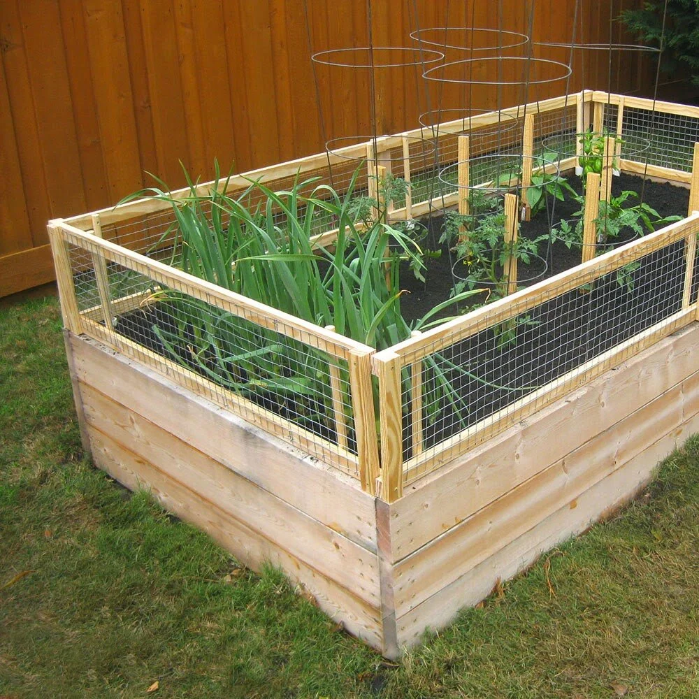 Chicken Proof Garden Idea