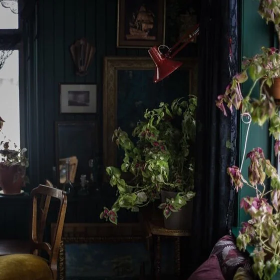 Dark Walls for a Dark Season