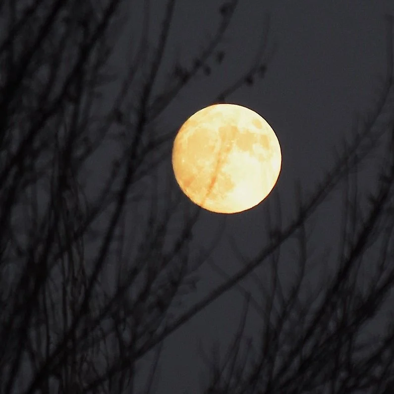 A Ritual for the Penumbral Lunar Eclipse