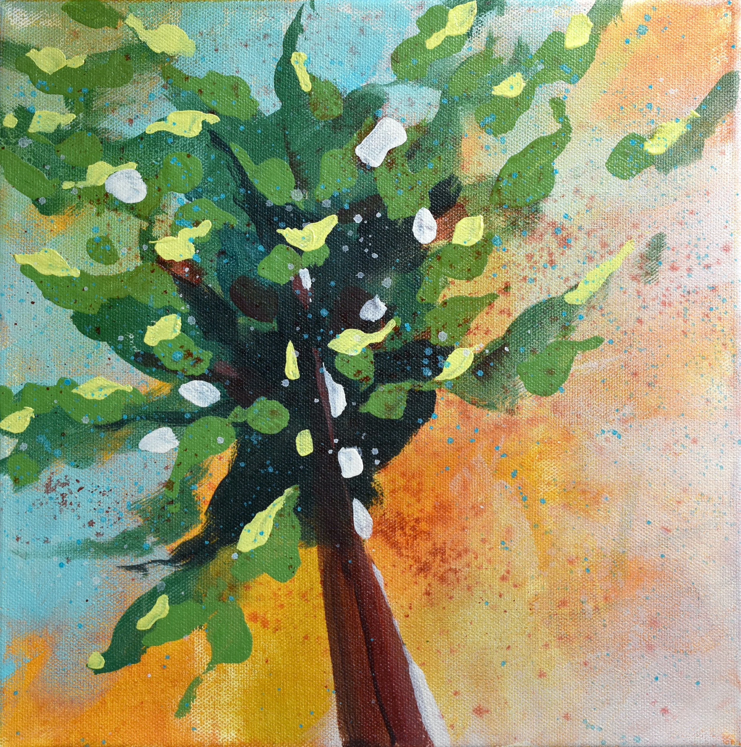 Sugar Maple