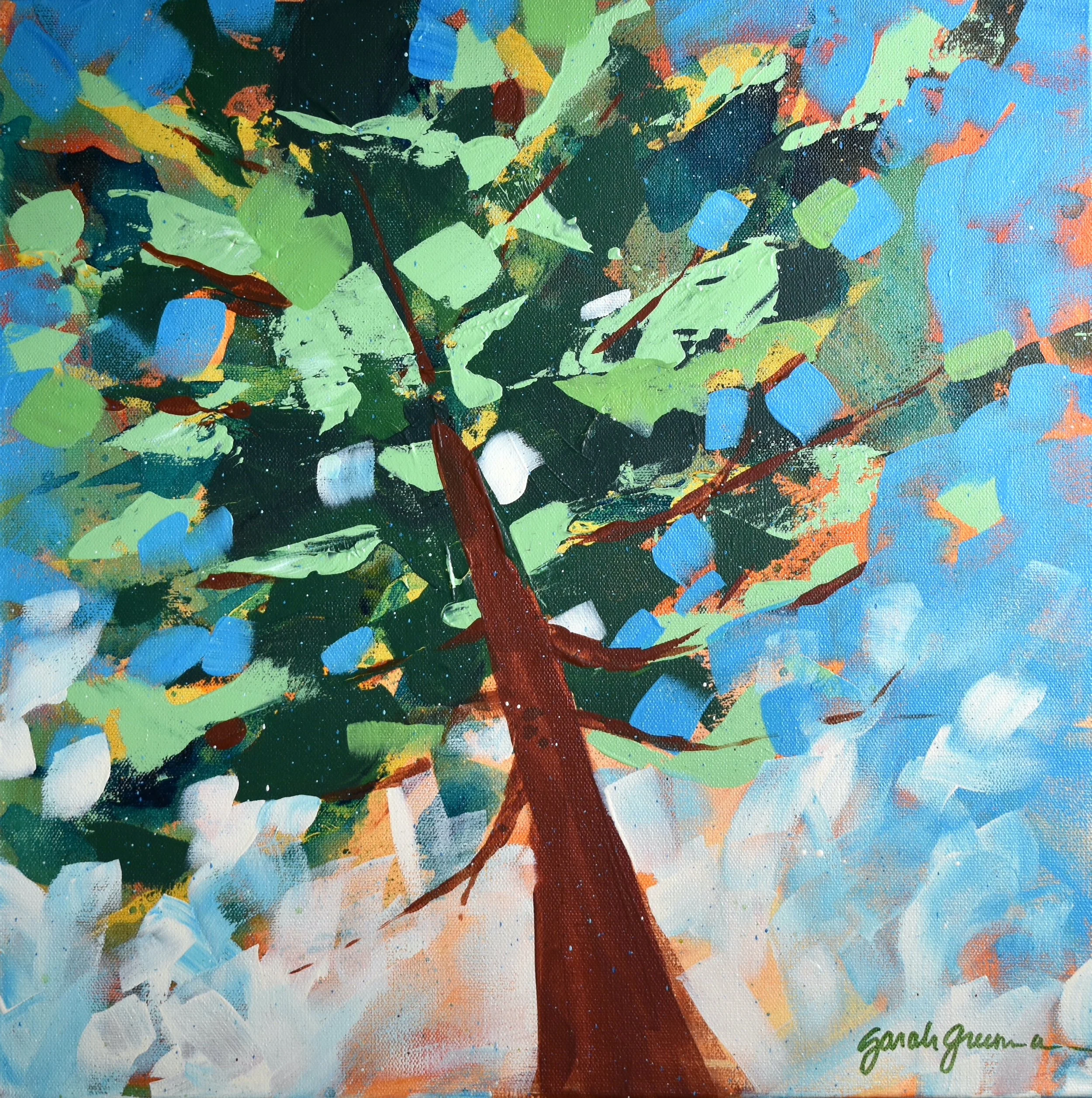 Sunny Maple (1).JPG