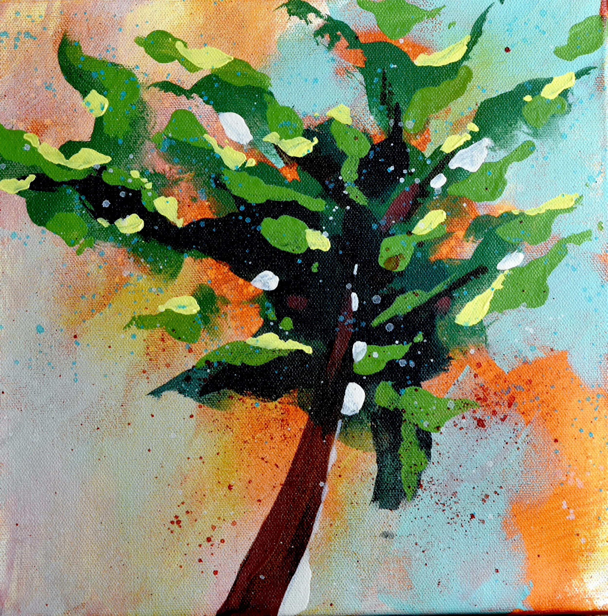 Sugar Maple (2).JPG