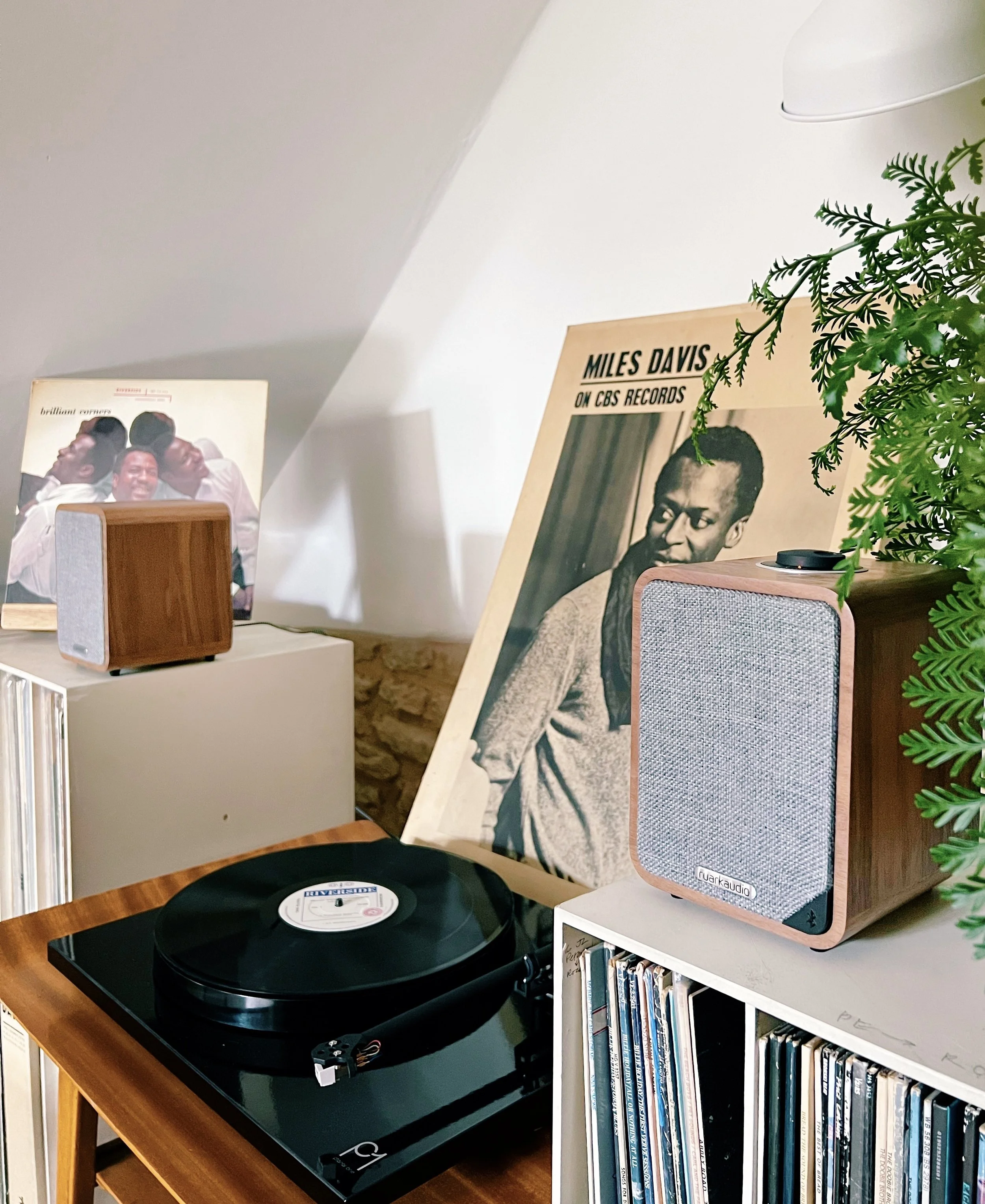 50B413FD-19FD-4575-AE05-67FC6656217B 2.jpg