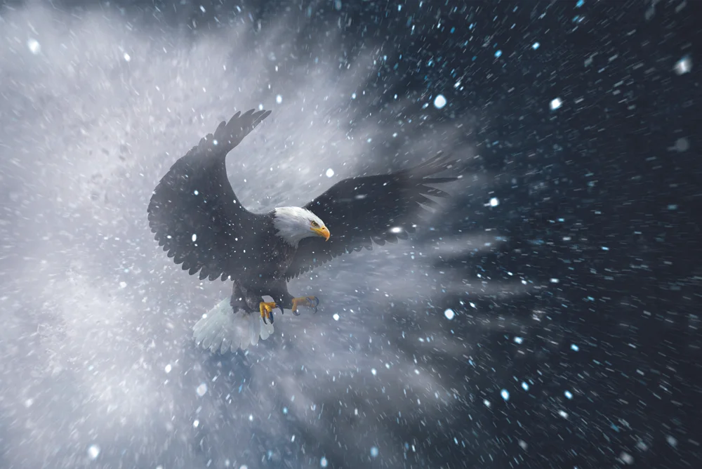 Bank of America - Trader Instinct