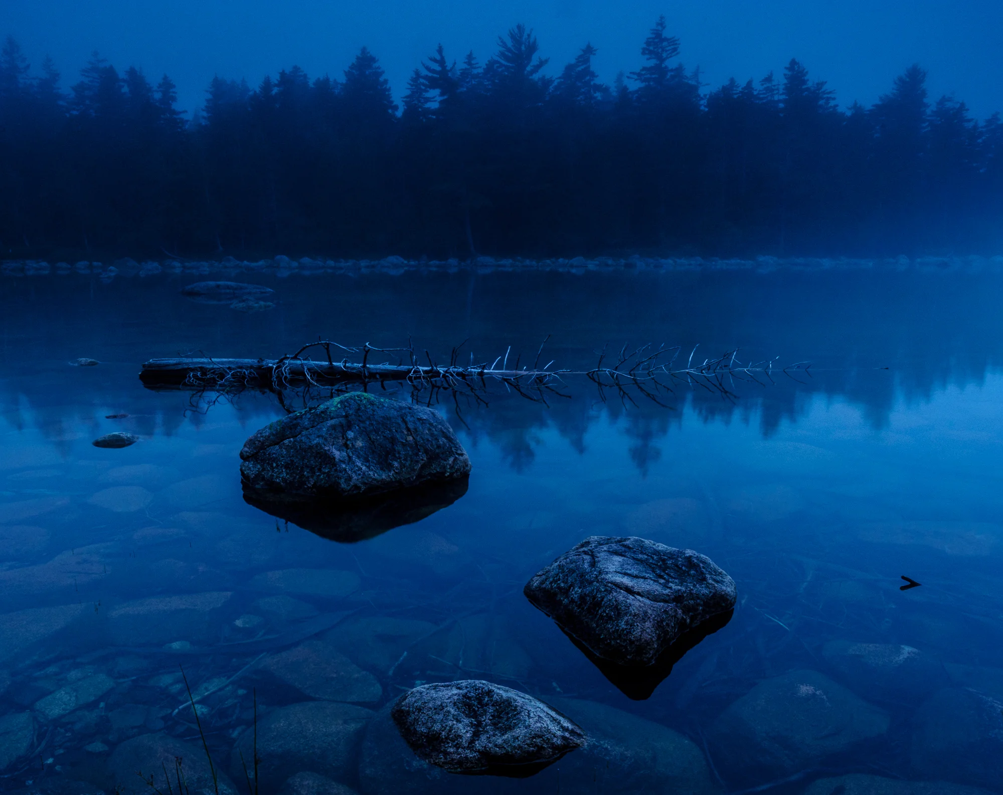 © Chris Nicholson