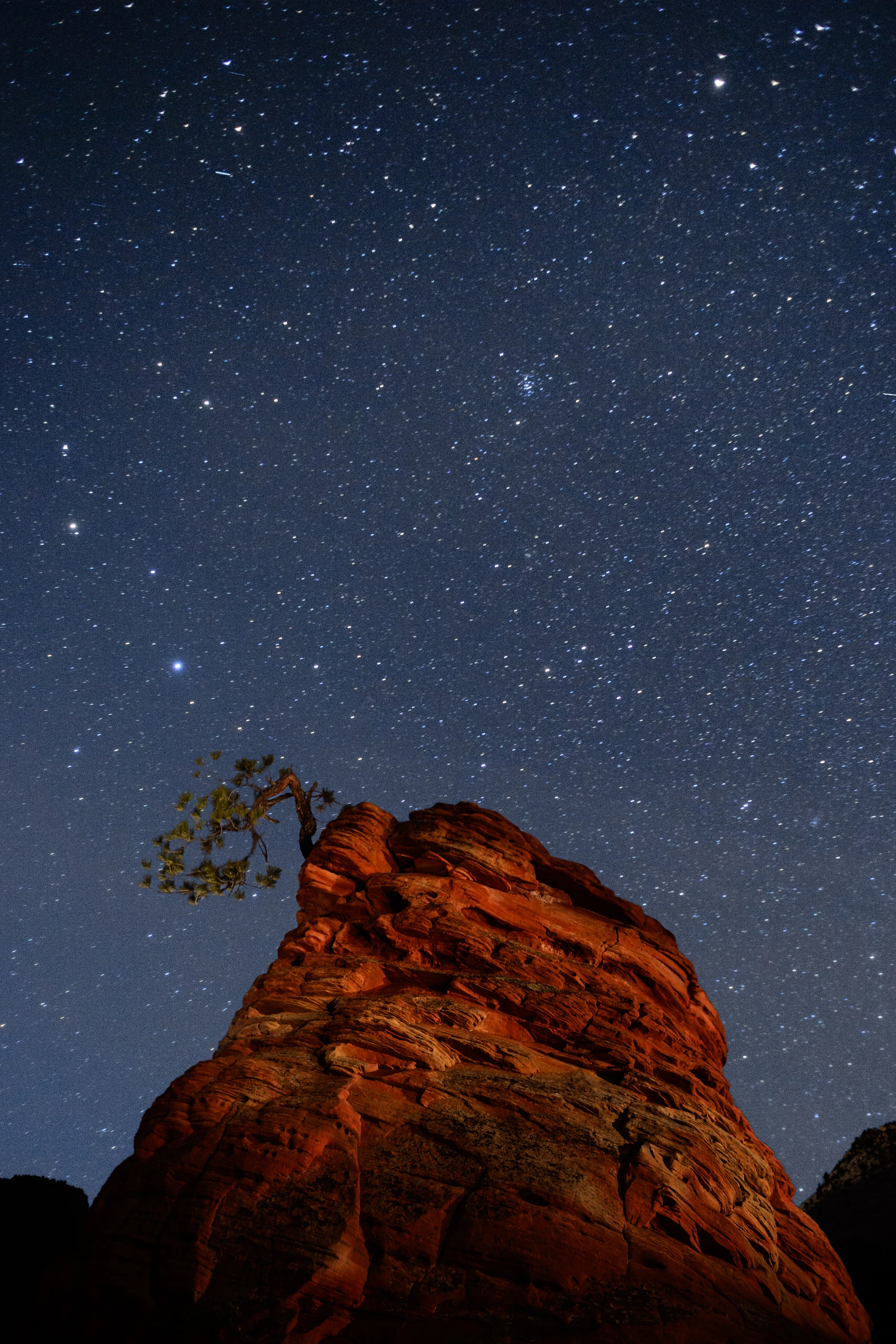 Zion National Park Night Photography Adventure Workshop