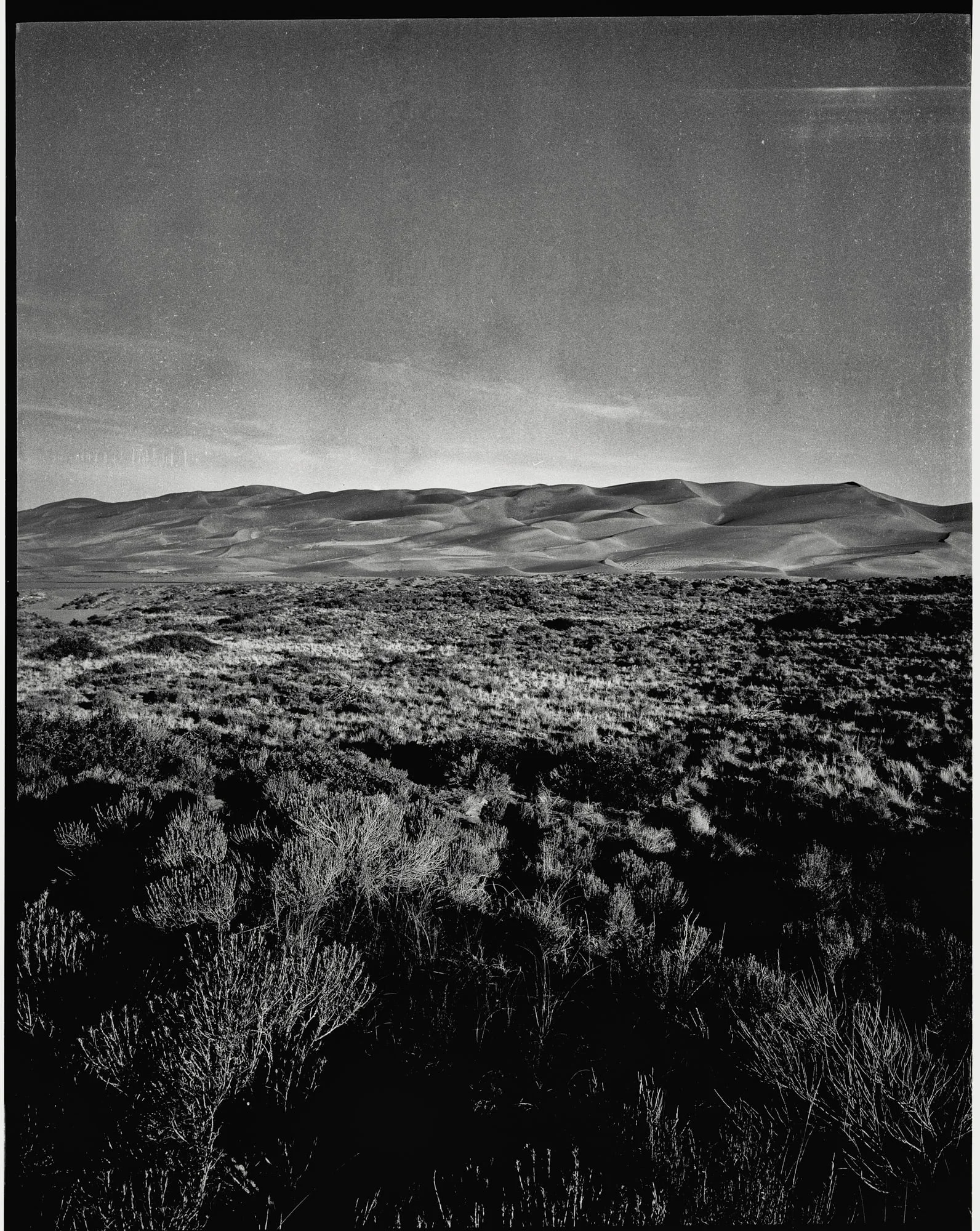One of my favorite photos from the Great Sand Dunes excursion. © Matt Hill