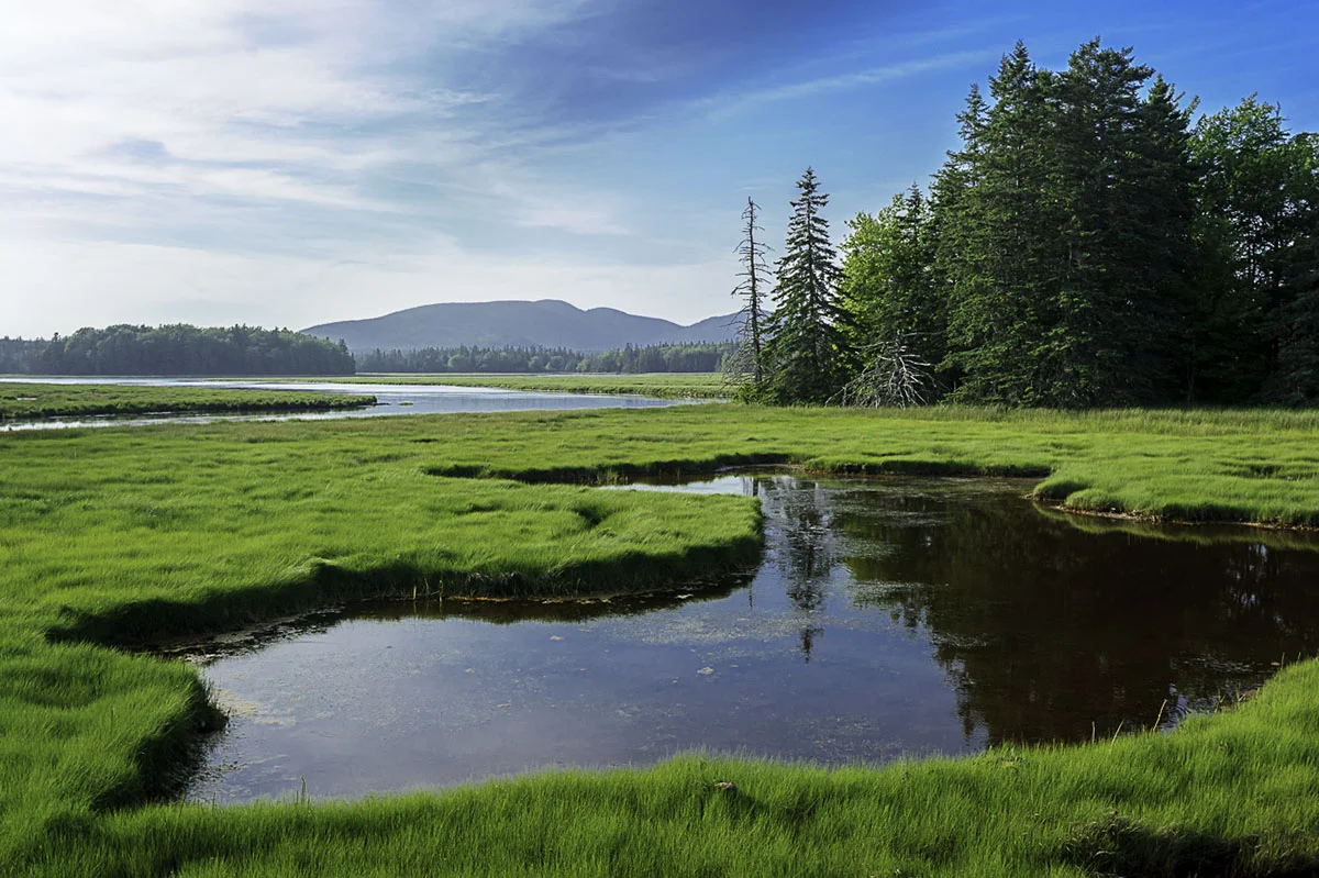 Talking National Parks and More on the Out of Chicago Podcast
