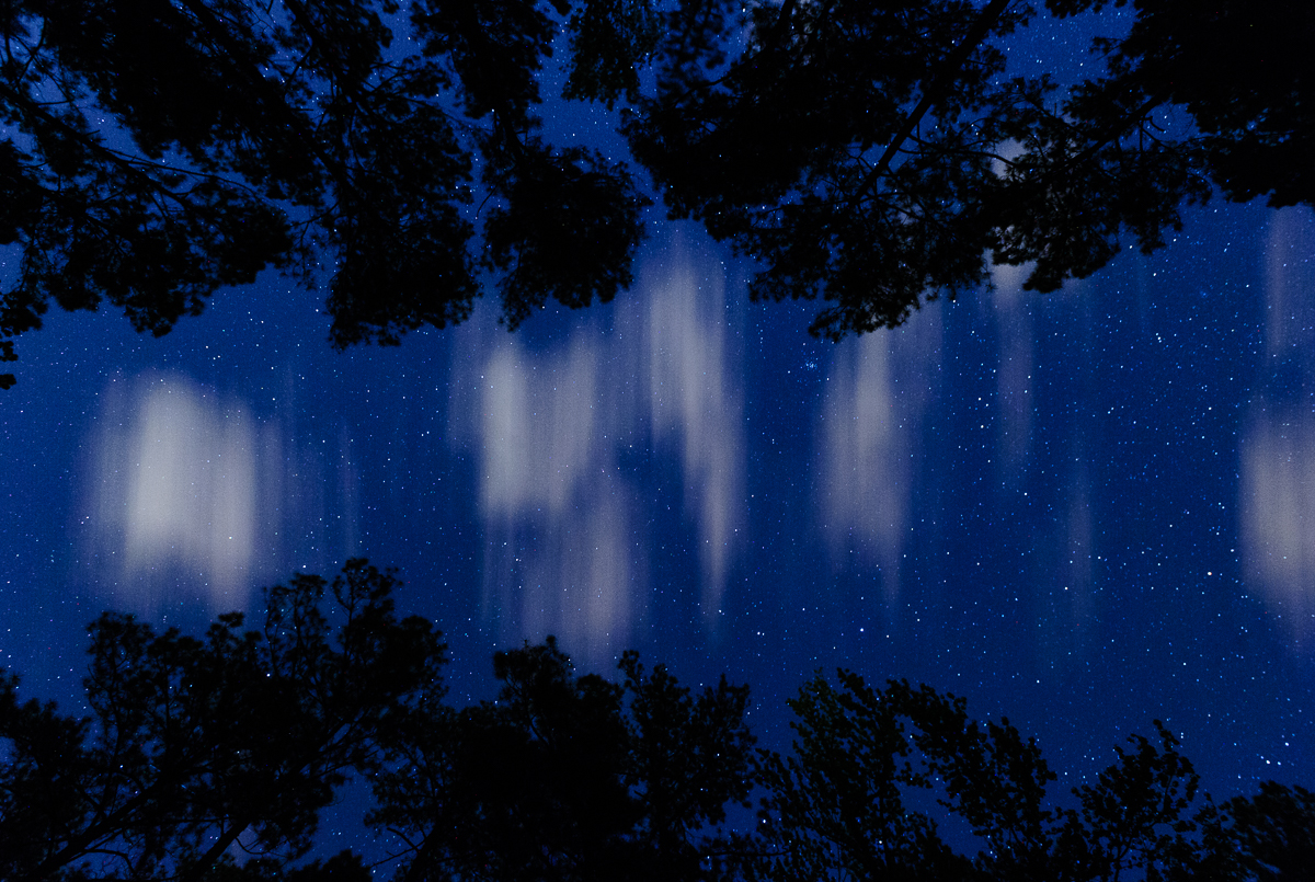 Congaree National Park, © 2016 Chris Nicholson