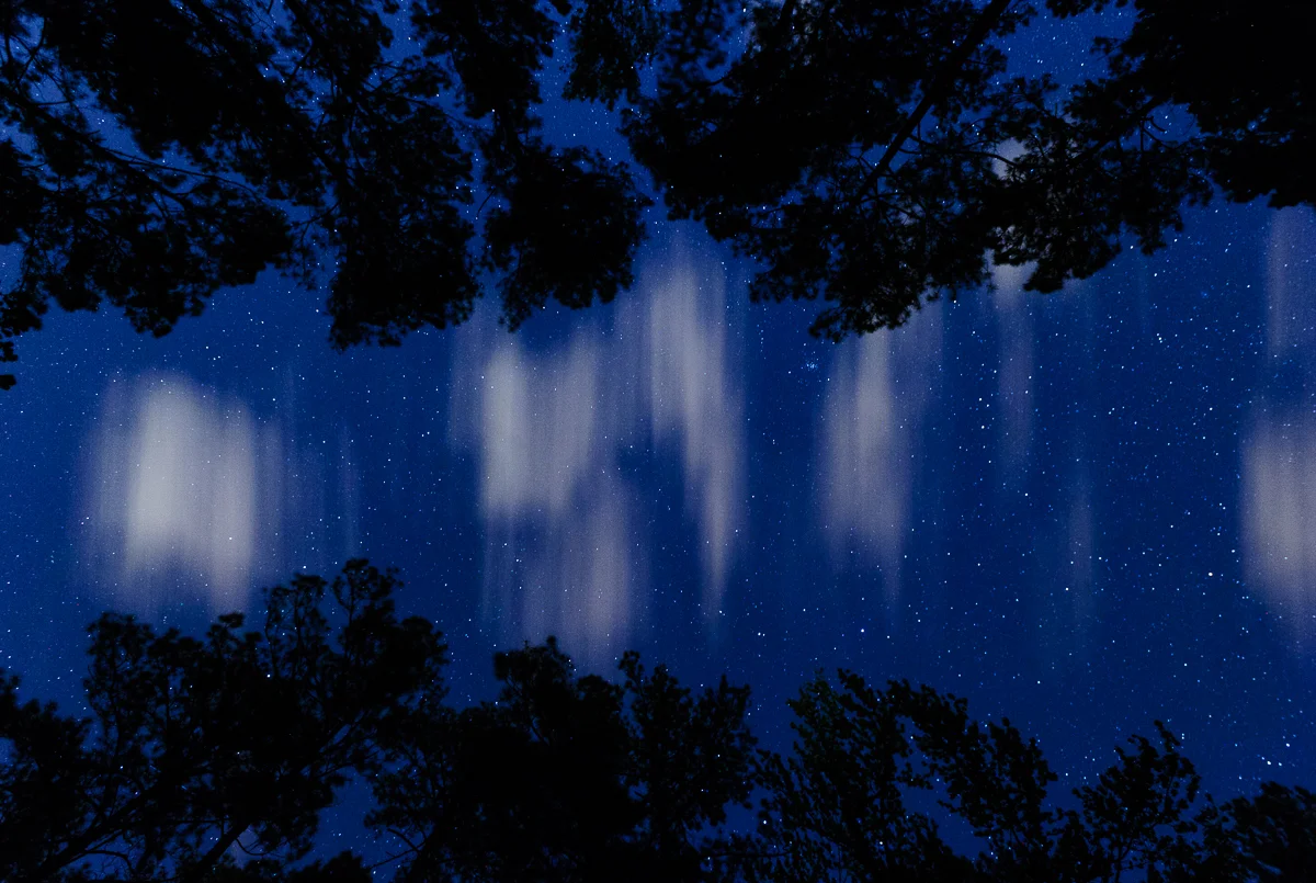 Congaree National Park, © 2016 Chris Nicholson