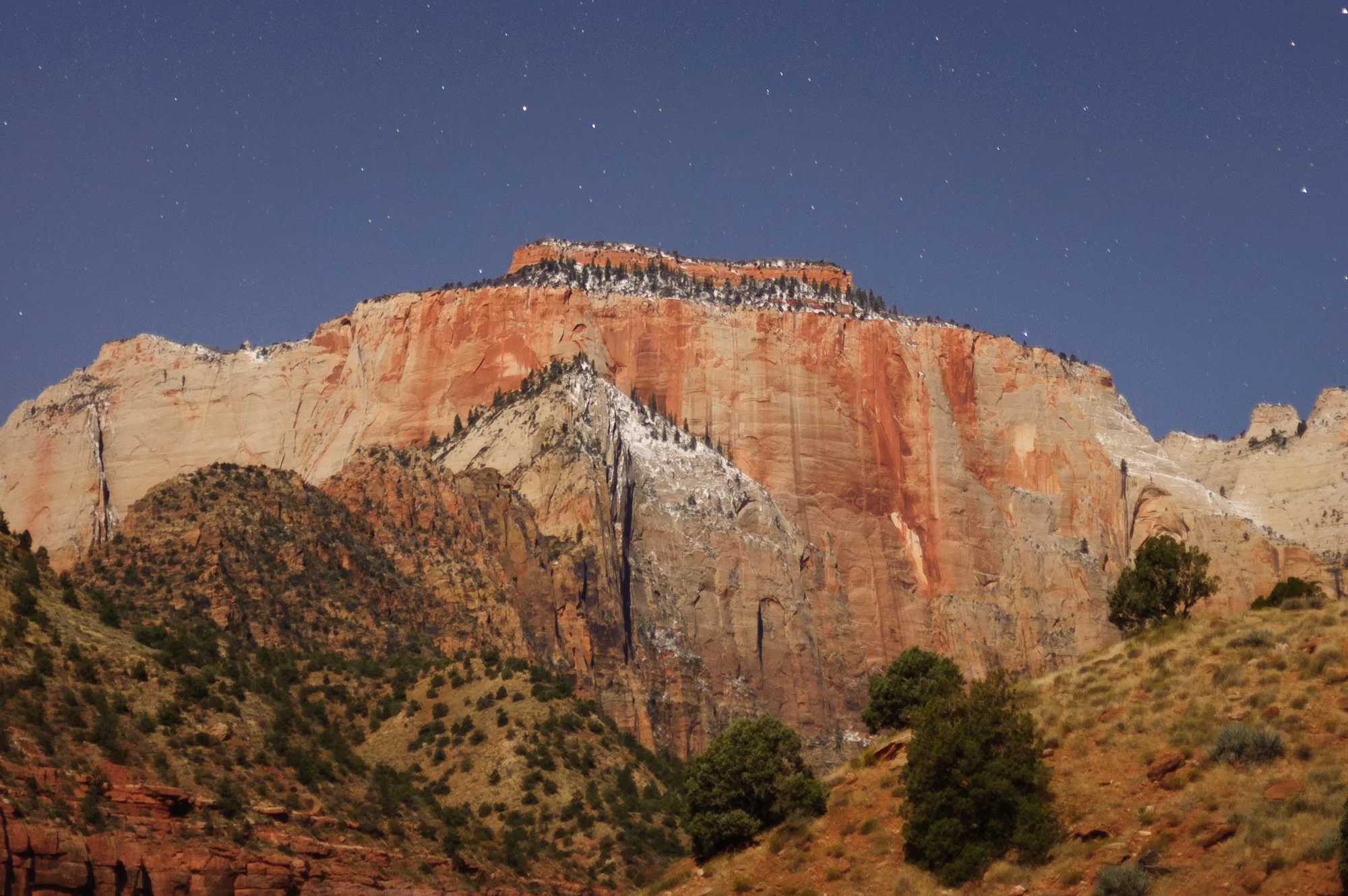 Low-contrast scene illuminated by the full moon, in Zion National Park.