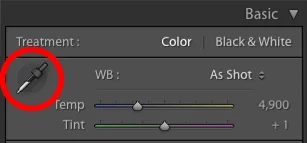 Figure 3. The White Balance Selector tool.