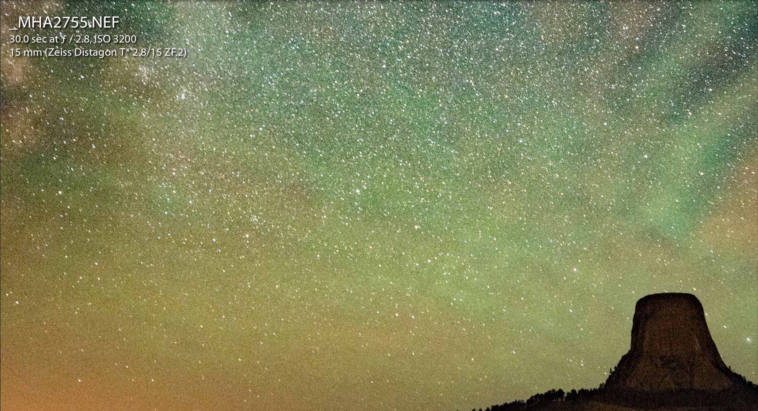 Figure 11. 100 percent view of above photo. Screenshot from Lightroom.