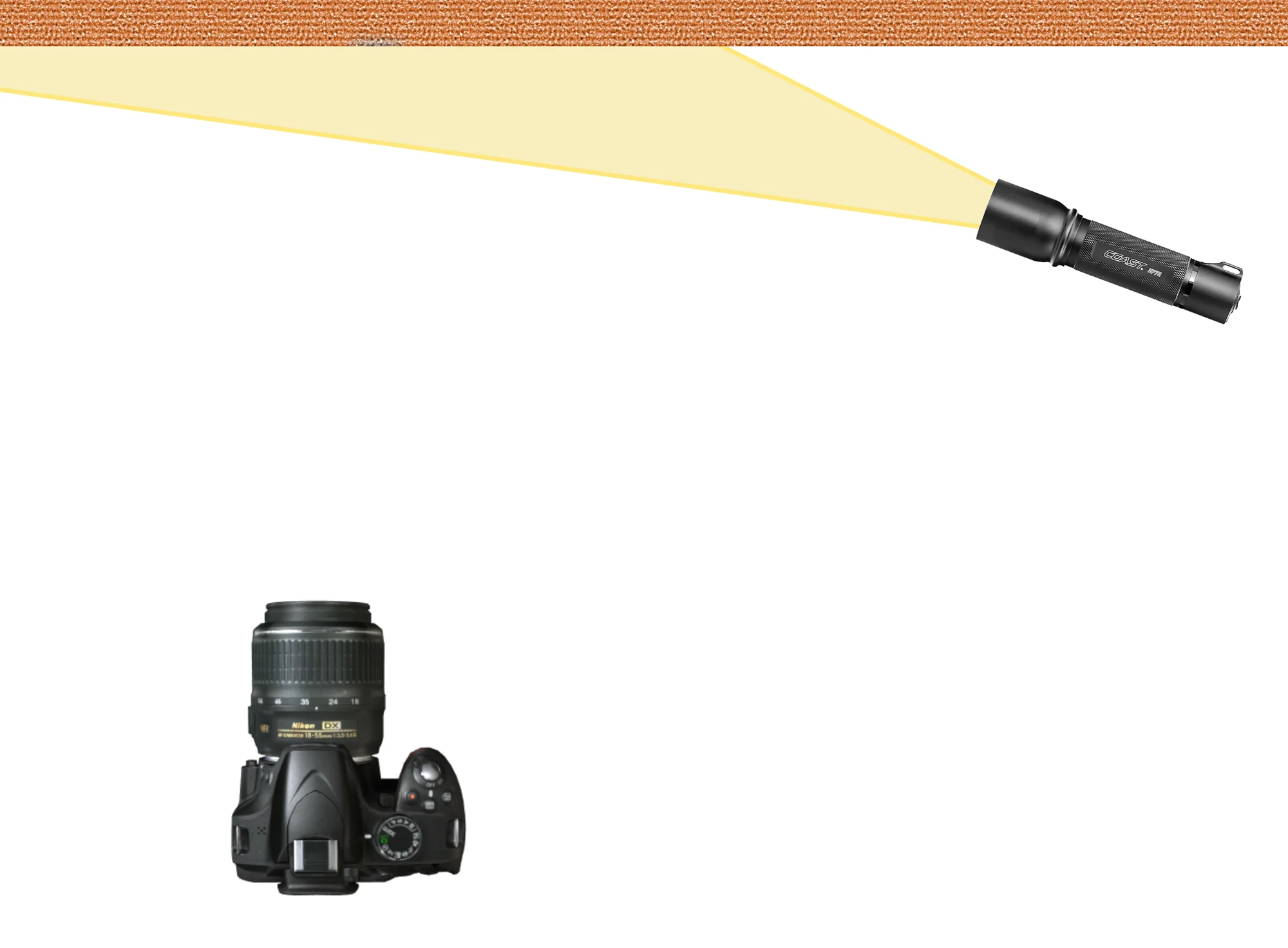 Figure 2. Painting the subject from the side will result in the most texture and dimension.