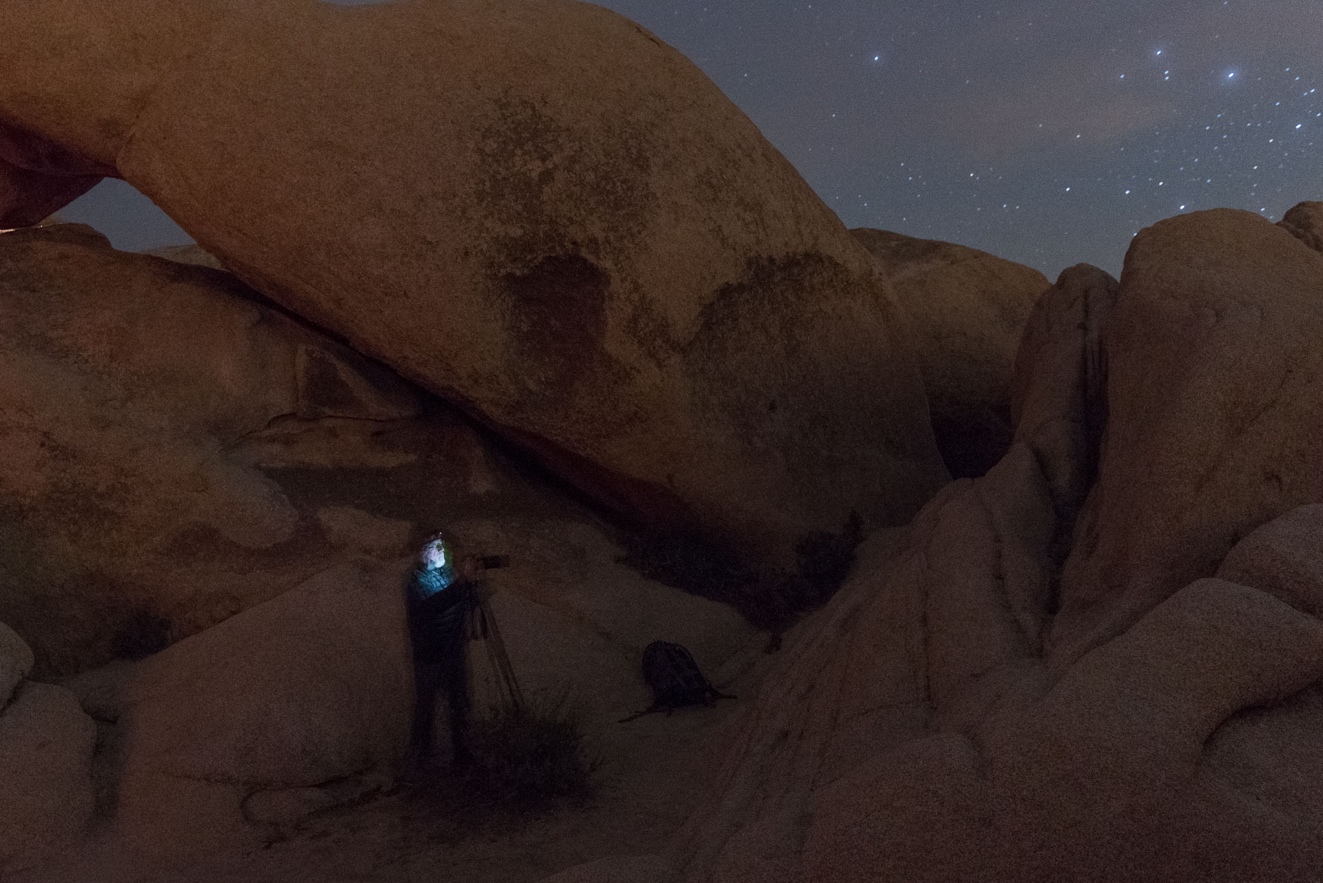 Joshua Tree-7945.jpg