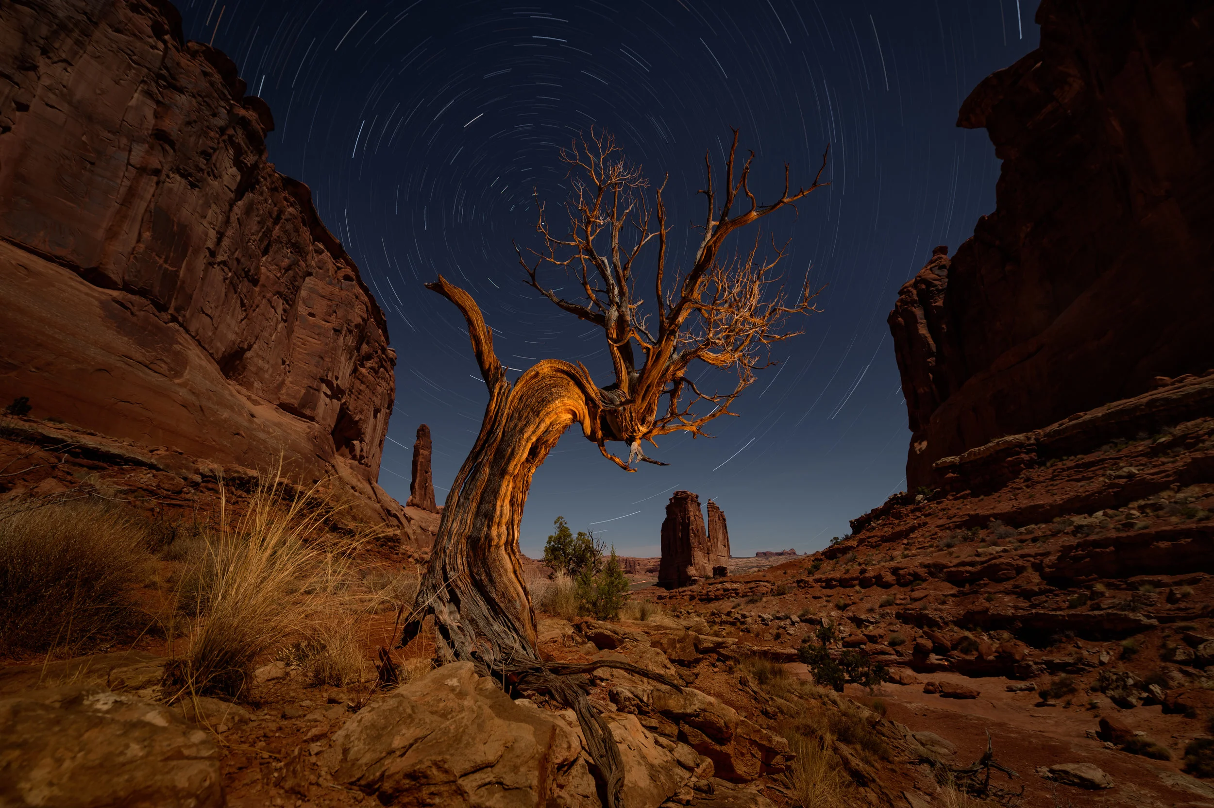 Full moon. 20 exposures at 3 minutes, f/5.6, ISO 100 stacked in Photoshop. I painted the foreground tree with a Coast HP7R flashlight covered with an orange gel.