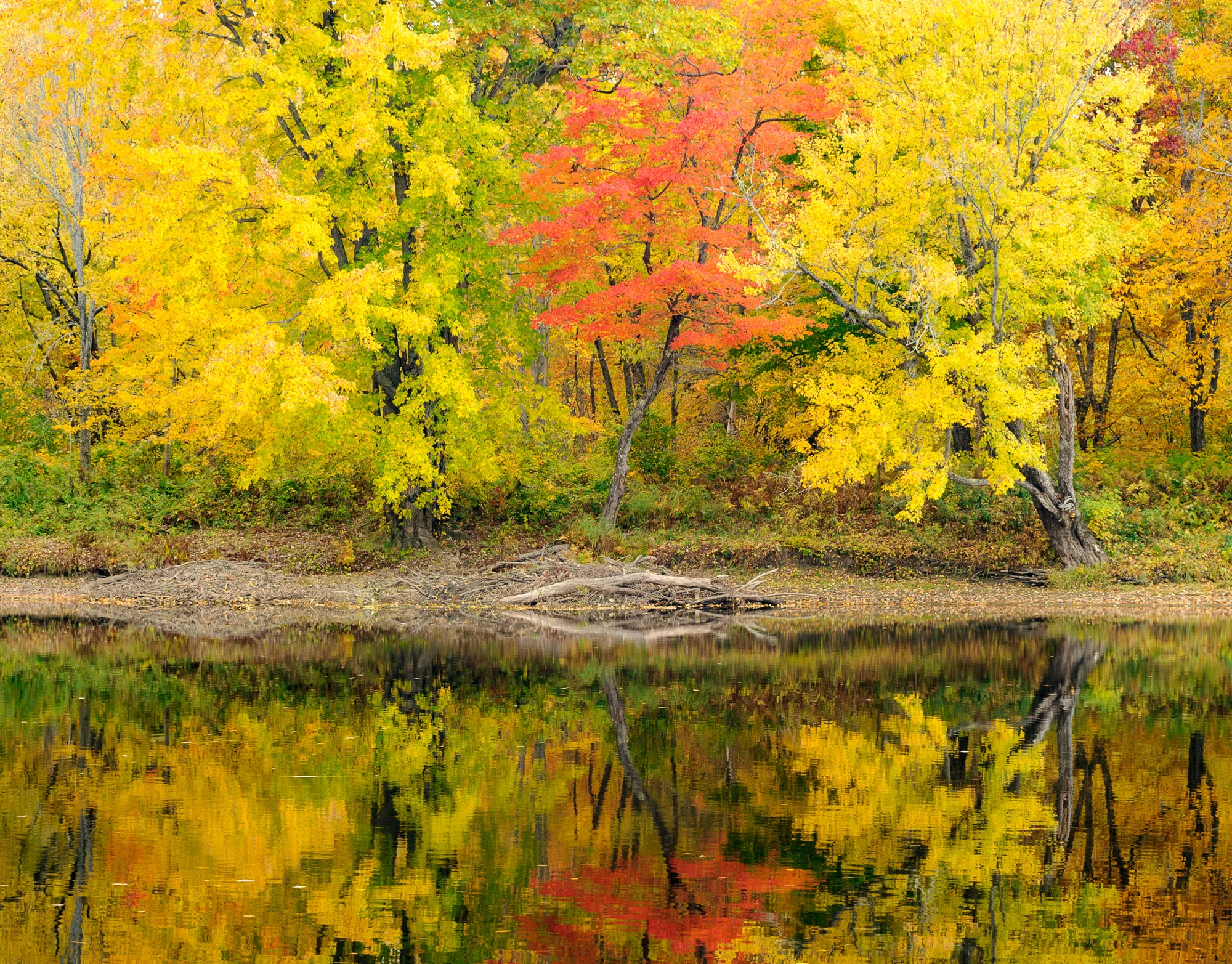 Katahdin Woods and Waters National Monument. Photo © 2016 Chris Nicholson.